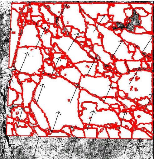 campo de fragmentos de hielo