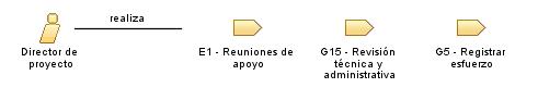 Director_de_proyecto