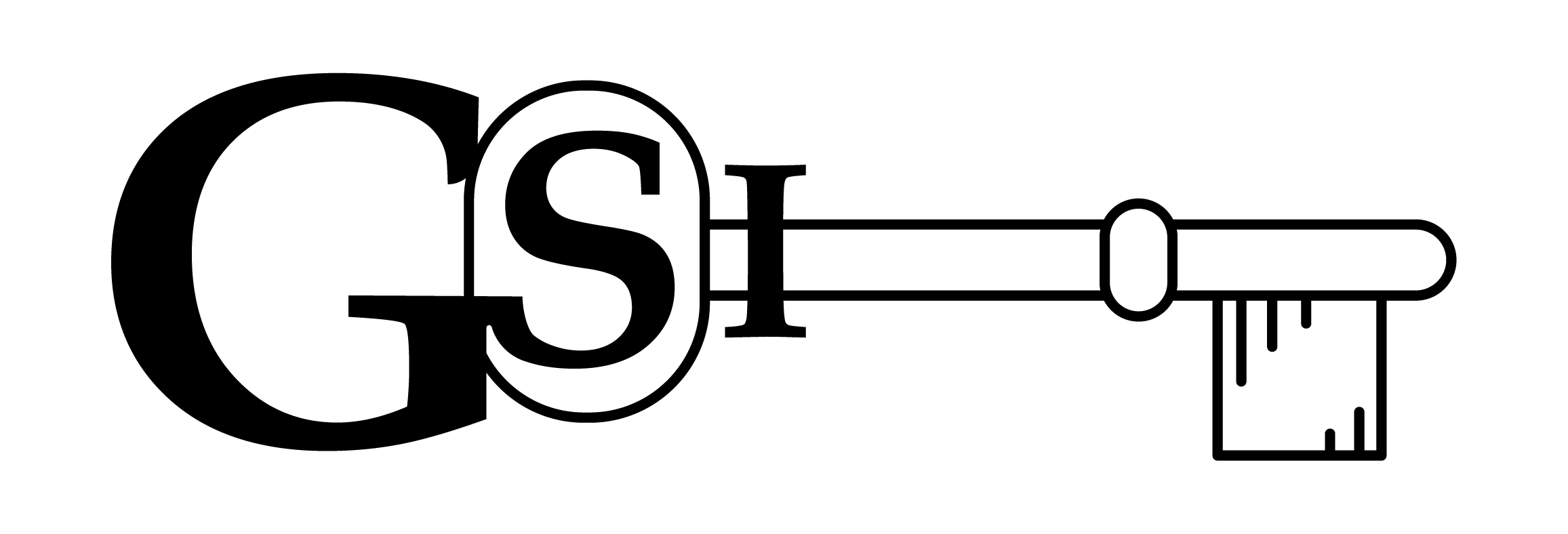 GSI GSI