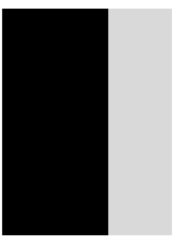 Image double