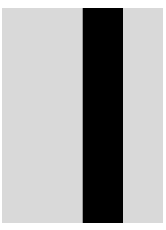 Image int
