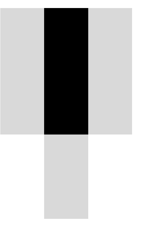 Image struct