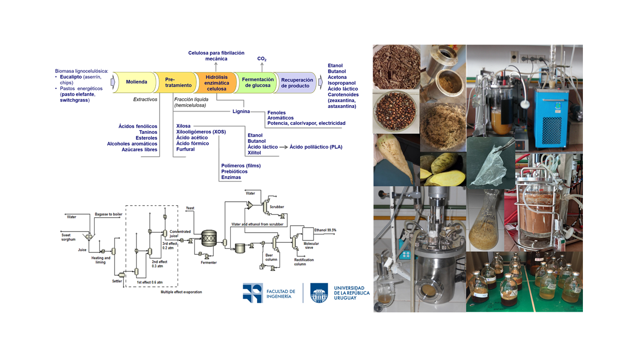 Biorrefinería