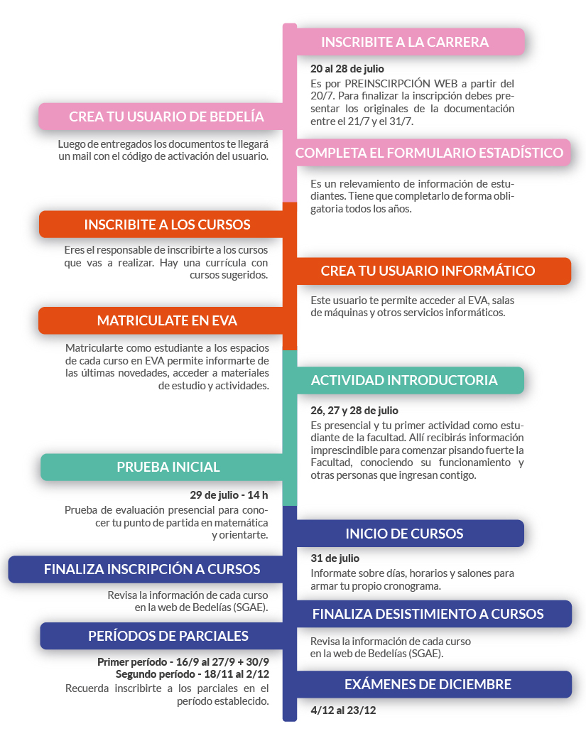 Línea de tiempo donde se organizan las actividades importantes para la generación de ingreso en su primer semestre de la carrera