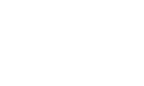 Logo IEM