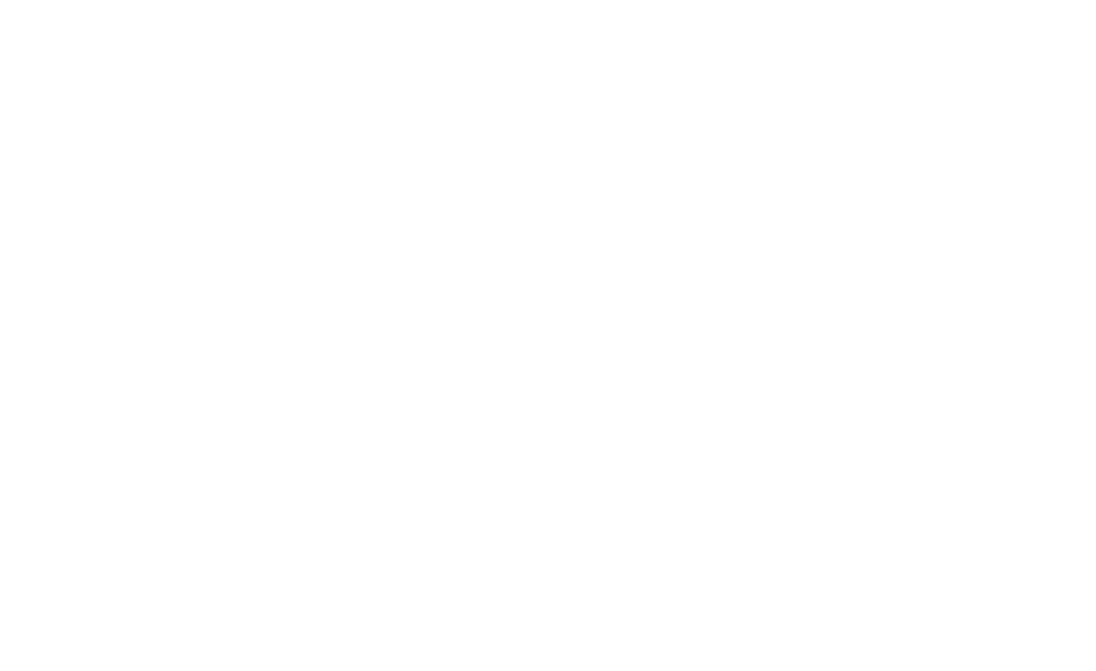 Logo Fundacion Ricaldoni