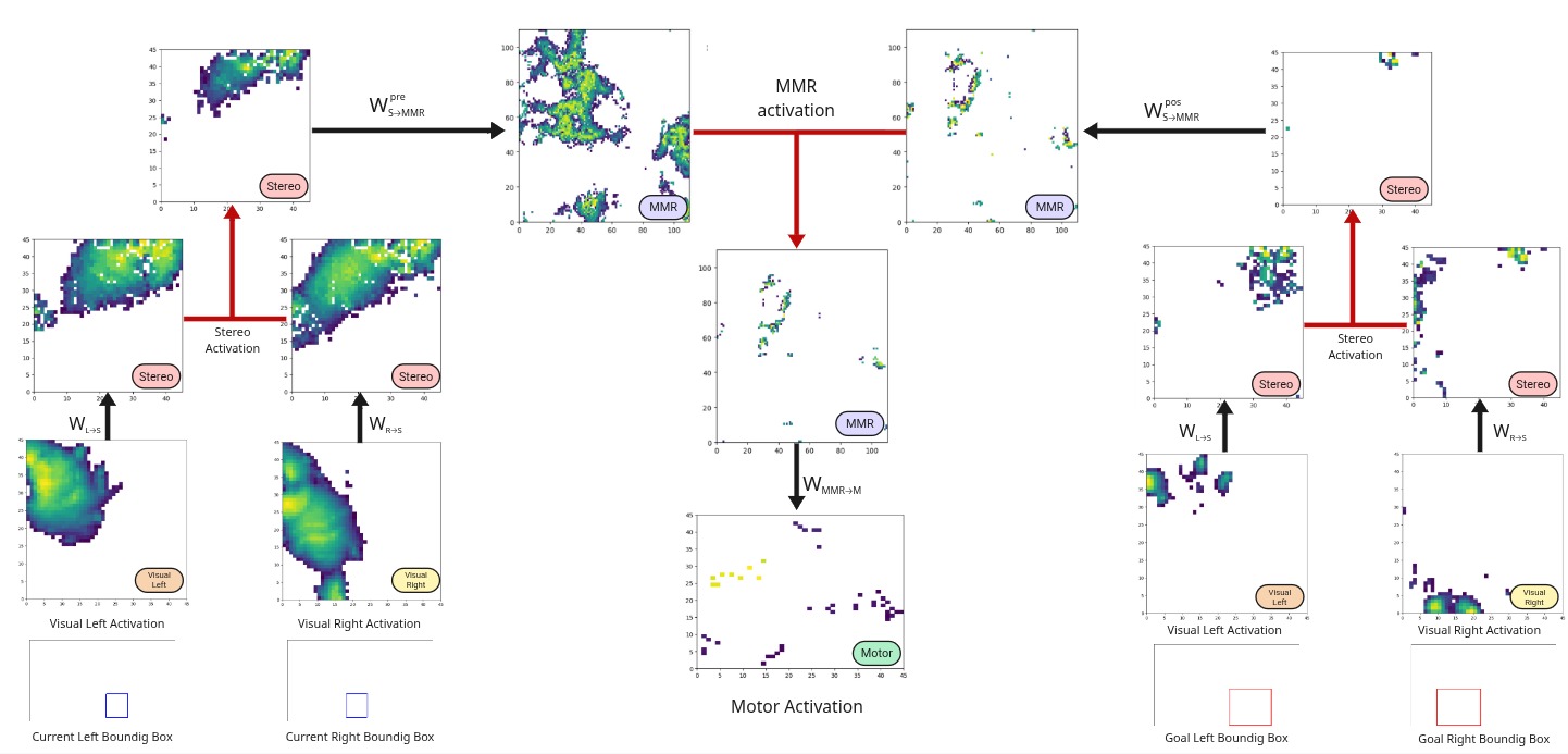 Full Activation propagation diagram