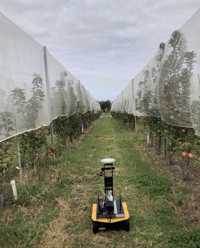 Doctorado en Informática