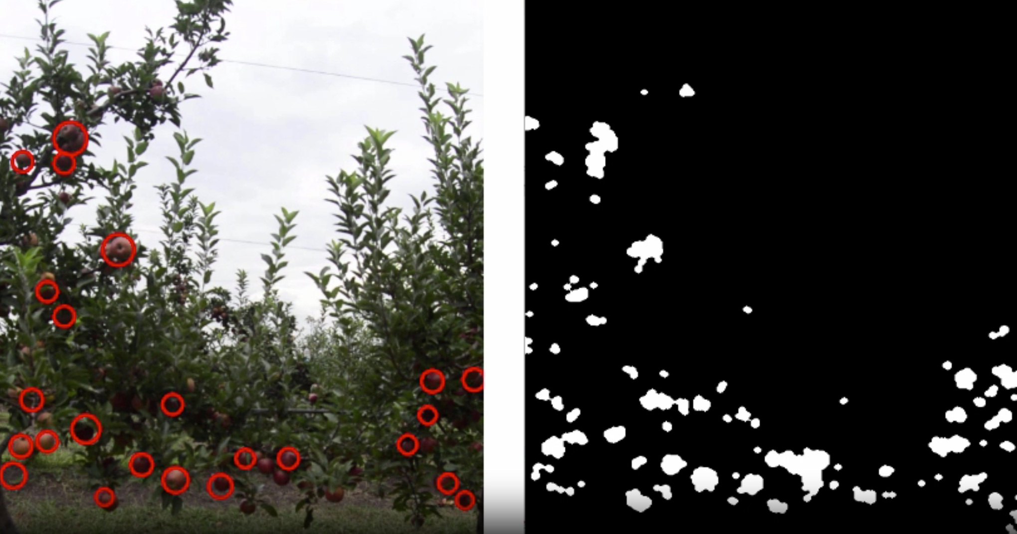 Ingeniería en Computación